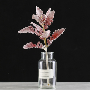 �Wʽ���滨�����l ֲë�y�~���ö��ݱ����~¹�ǲ� �Gֲ���������