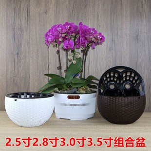 2.8��3.0���m����3-4�ú����mƴ�M����ظ������͸��W��������