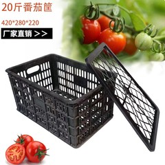 厂家直销一次性20斤番茄箱水果蔬菜周转箱塑料框甜瓜箱水果框批发