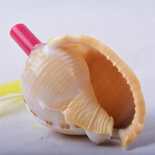 白色圆形中大号小螺号景点热卖新奇天然海螺贝壳口哨子幼儿童玩具