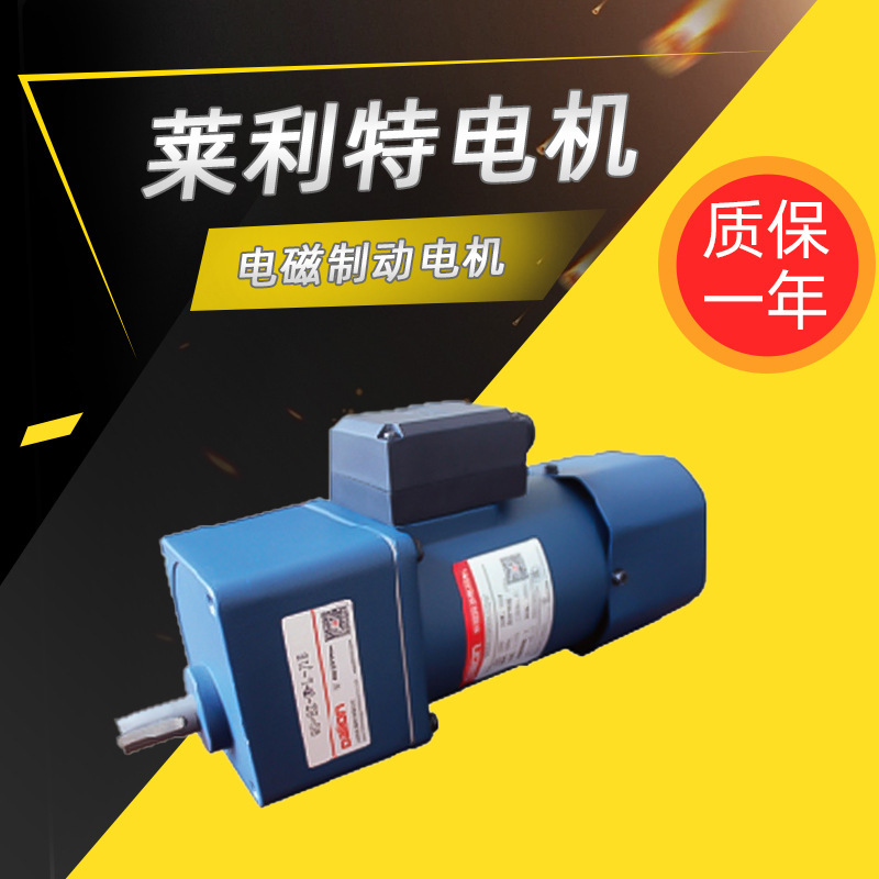 Rileyte Speed Motor 100-180W Electromagnetic Brake Micro Ac Reduction Motor Factory Direct Supply