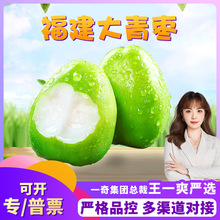 【严选】福建大青枣 代发1/9斤当季脆甜青枣新鲜应季水果非贵妃枣