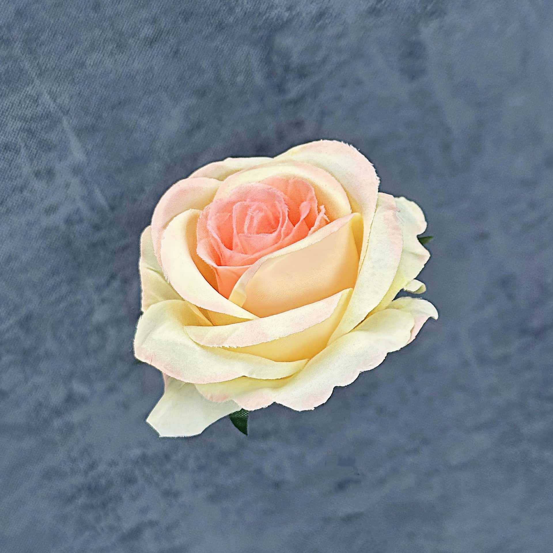 Franela artificial flor Rosa cabeza ramillete rojo boda flor pared tiro apoyos flor artificial arco flor artificial al por mayor