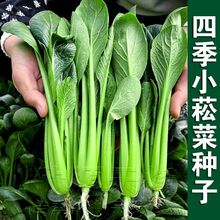 Сݿ˷NӴ＾ļ๣˷N̨ͥԺСײɲ߲˷N