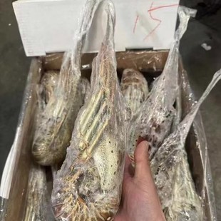 �Ű����r�r������Ű����Sɳ���rˮ�a10�^11�^15�^16�^10����1��