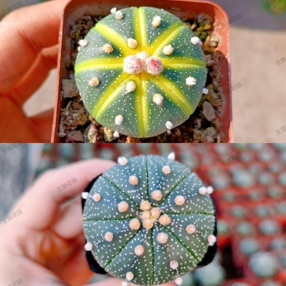 5a8e2cb0-a59d-44dd-bcf4-a9970c13a9c5.jpe