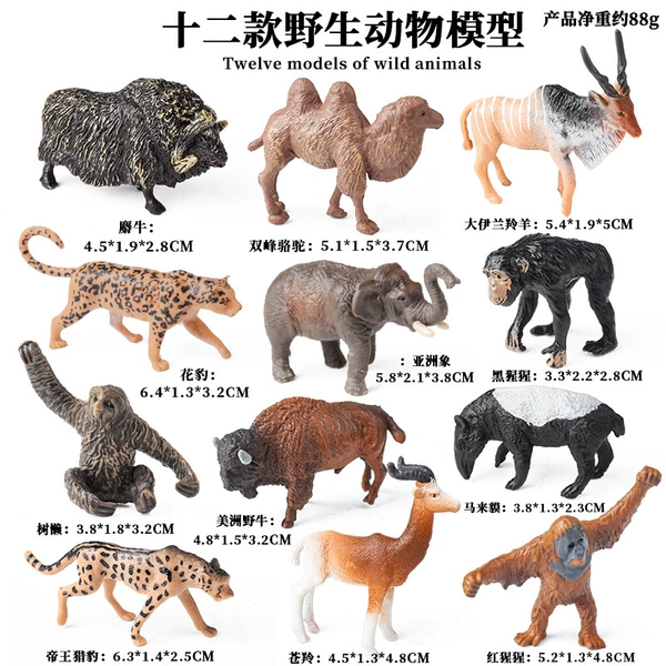 ZZ mini wildlife 12 sets (2A+2B)