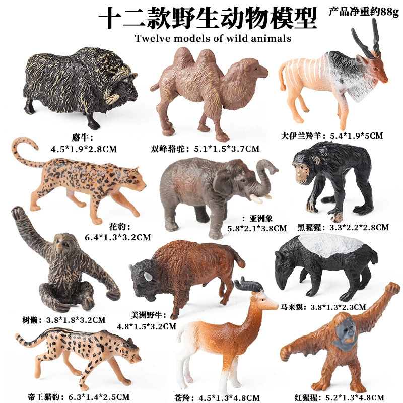 Cognitive realistic marine animal model, dinosaur, toy