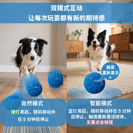 亚马逊新品智能电动逗狗球防水耐咬ETPU解闷宠物跳跳球狗狗玩具球