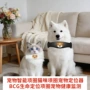 健康智能生命监测定位器