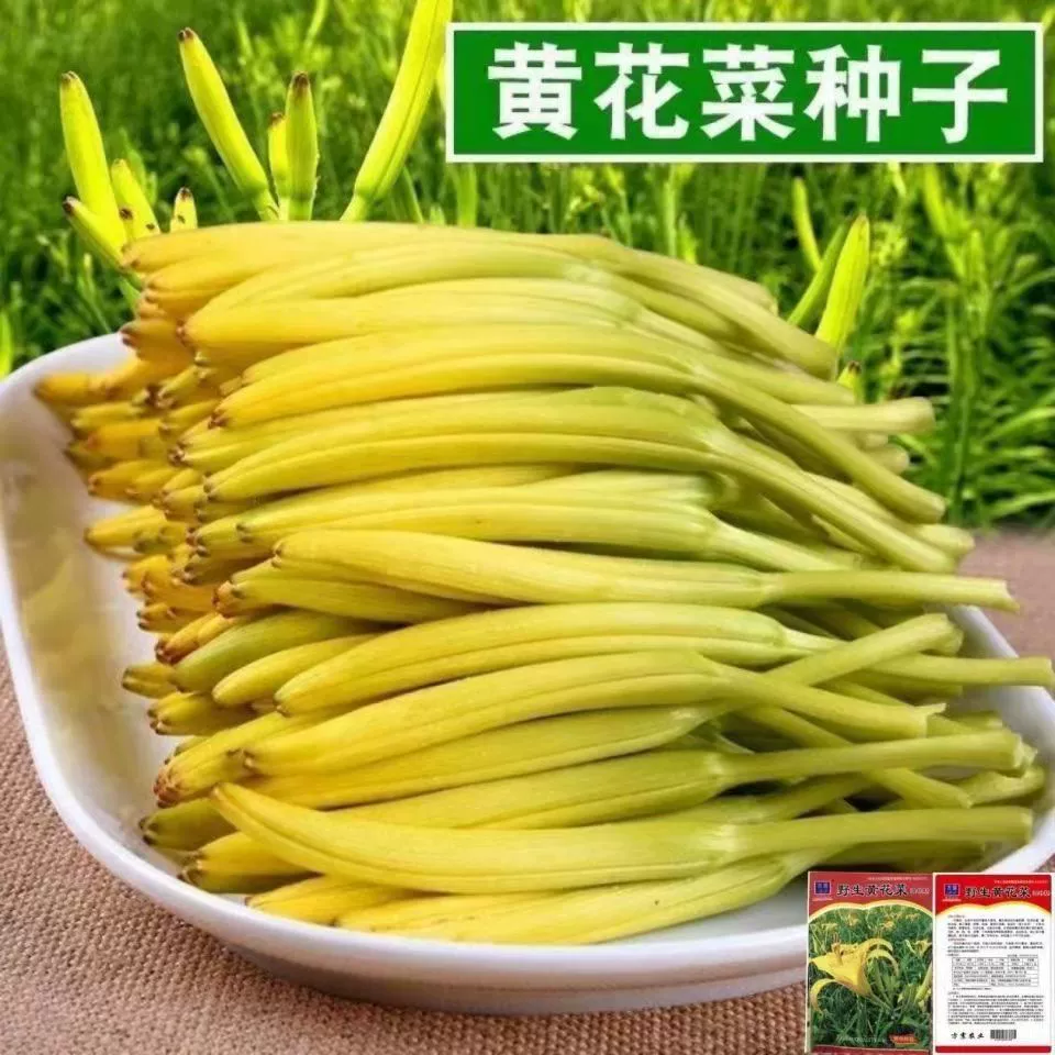 Семена лилейников дикая игла семена весна и осень четыре сезона поле двор Горшечное растение многолетние Овощные семена