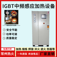 IGBT中频感应加热设备锻造热处理大型淬火炉高频可调电磁
