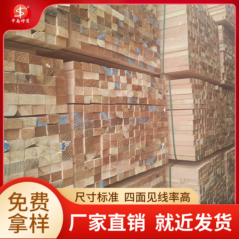 �������̲���ľ�� ��������������� �������