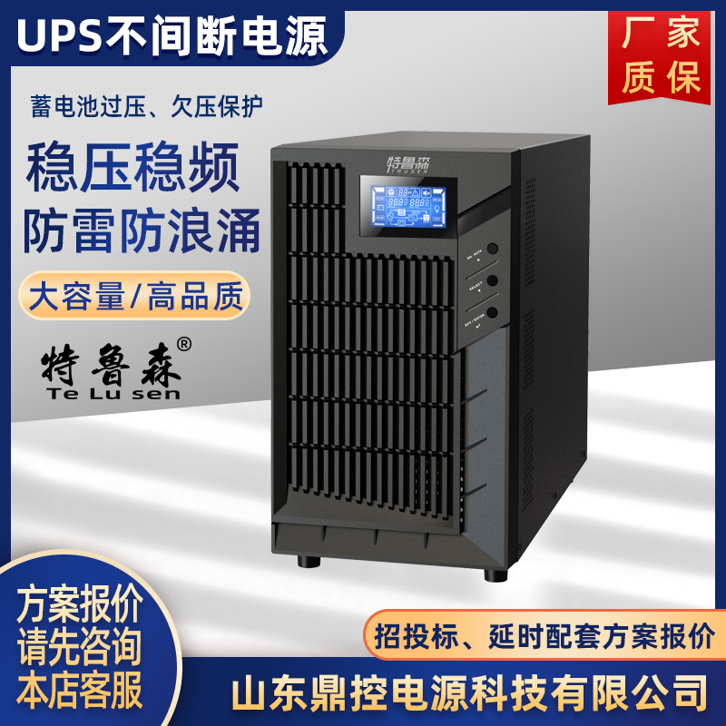 特鲁森TLS1101-LN高频UPS不间断电源1KVA900W长效机外接电池柜包