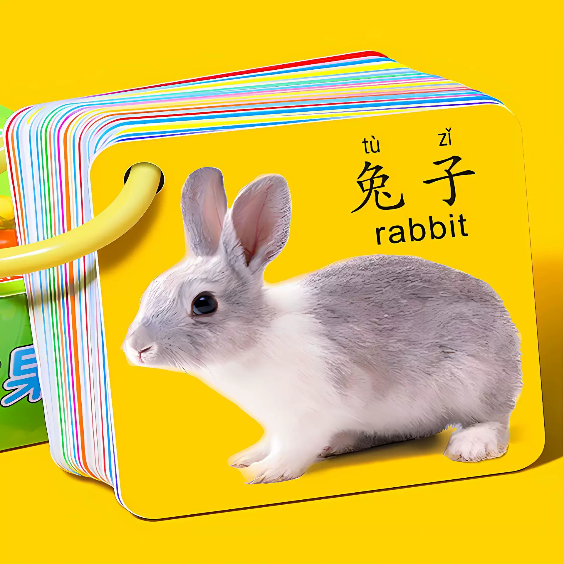 动物卡片认知早教启蒙书儿童一岁宝宝益智玩具婴儿幼识字看图识物