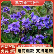 ϻضNӵرܻͥԺNGaļͺ׻