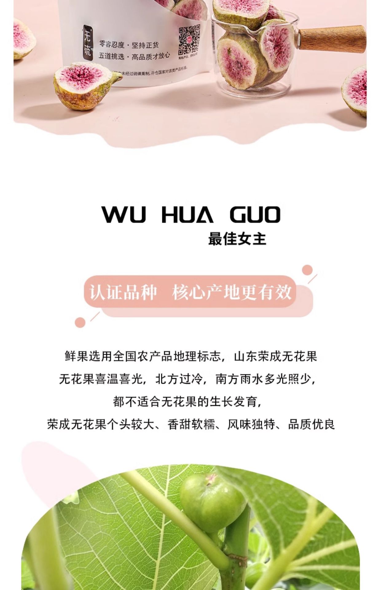 Freeze-Dried Figs Wuhuaguo Dried Fruit Snack 110g Jar Sugar-Free Herbal Tea Ingredient quality and texture