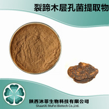 裂蹄木层孔菌提取物 裂蹄木层孔菌粉 提取粉 现货供应量大从优