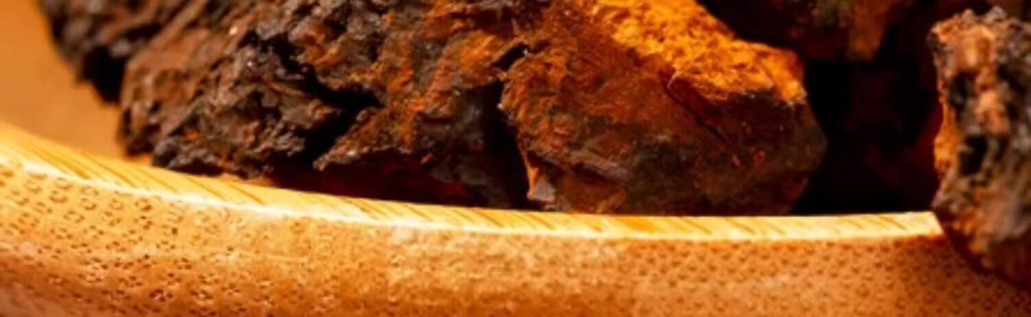 Wild Birch Chaga Mushroom 1000g Natural Sun Dried Siberian Inonotus obliquus for Decoction and Tea quality and texture