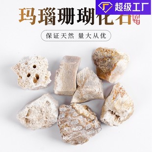 ��Ȼ���ɺ����ʯ�˱������������|���ս̌W�˱��������ԭʯ