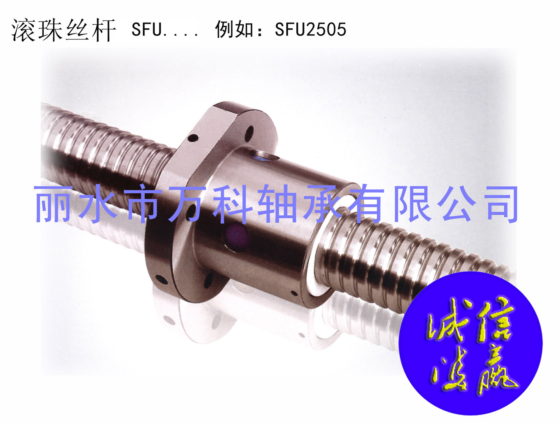 滚珠丝杆4010-1000