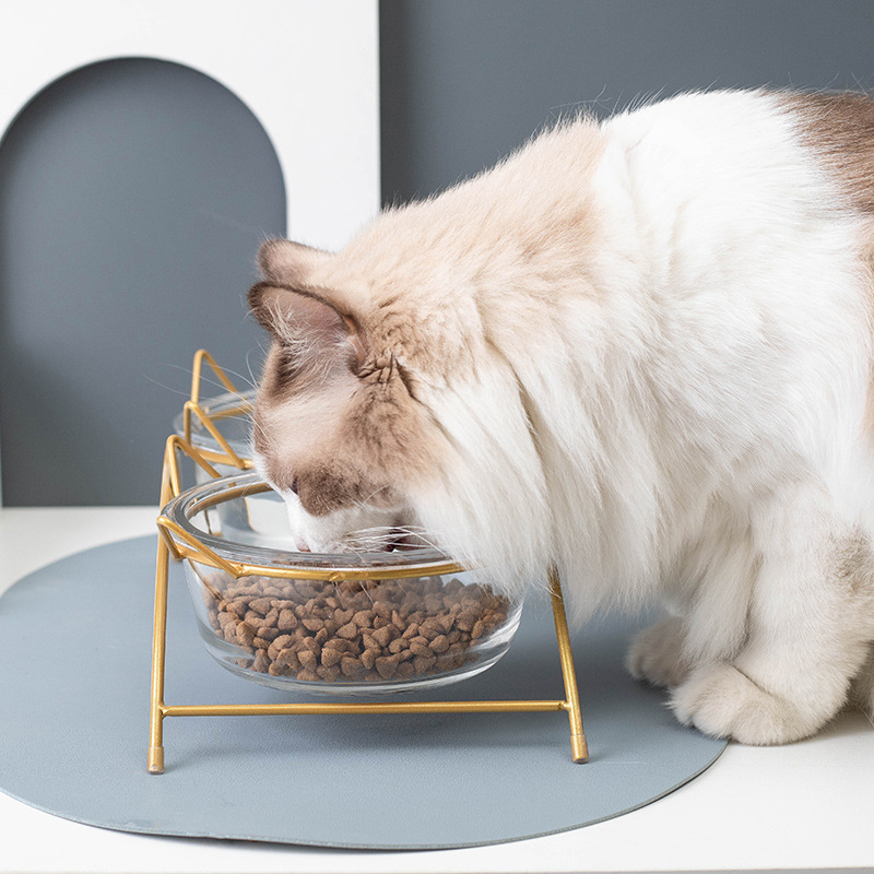 Cat Bowl perro tazón antidetonante tazón de comida gato tazón de fuente de comida para gatos tazón de fuente de vidrio con marco de metal fabricante de suministros para mascotas