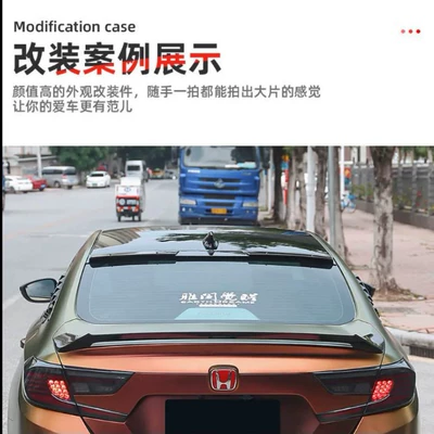 Paint-Coated Abs Roof Wing, Fixed wind wing