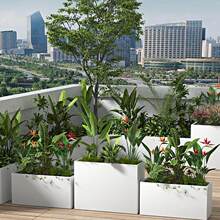 �����Fˇ����M�ϲ��P䓻����������ʷNֲ���̘I�ָ��໨��������