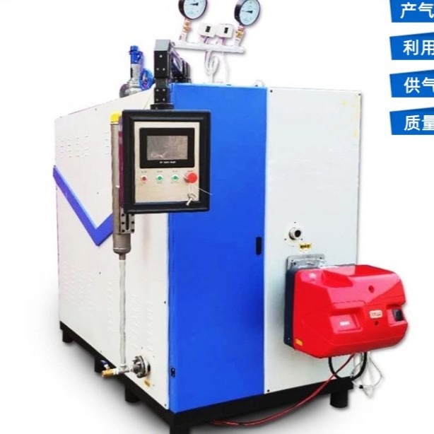 Generador de vapor de gas natural horno de asfalto textil vertical 100kg generador de vapor de combustible