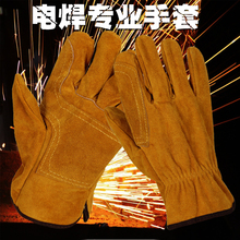 ȫţƤ늺׺ӷ̰\÷oLׄڱ_