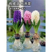 �M���L���ӷN��ˮ�B���ඬ��ˮ����ѿ�ͺ��׻������ֲ���҃Ȼ�