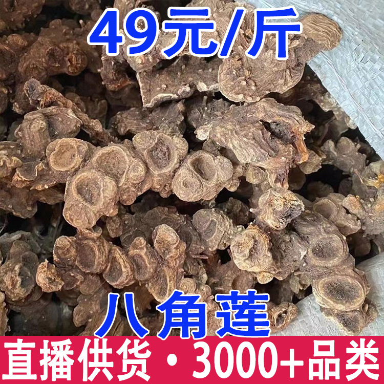 八角莲  江边一碗水 裂叶秋 海棠根 一口血批发量大从优 产地货源
