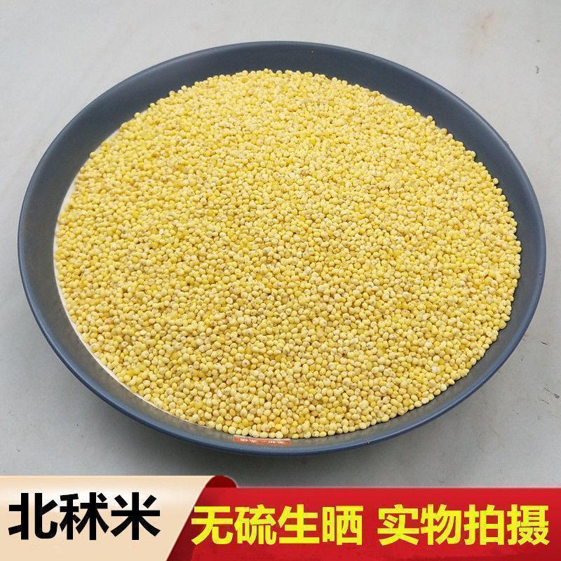 North Shu Mi Glutinous Millet 北秫米 Dried Grain for Congee and Herbal Decoctions 500g key features