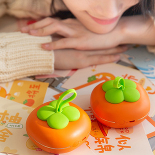 USBů֌Ůylճů֌ȡů