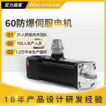 48V���a����ֱ���ŷ�늙C AGV���÷���ֱ���ŷ�늙C200W