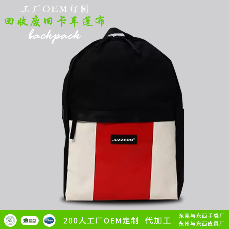 Backpack for traveling