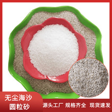 海砂厂家批发无尘圆粒海沙质感砂白色圆粒海沙人造沙滩儿童娱乐沙