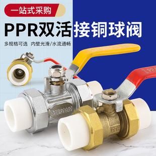 PPR�����p�^����y�T��ɫ��ȫ�~�y�w�p������yPPR�p����~���y