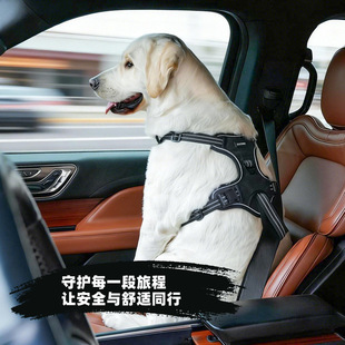 ����܇�d�����ر����������ر������_�д���Ȯ���������K�����