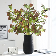 ɫϵGֲL֦~֦ٻcÈ@֑⹤b쾰