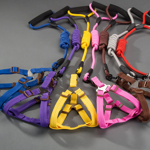 Nylon foam handle dog leash Golden retriever Teddy dog ​​leash Small and medium-sized dog walking rope pet supplies