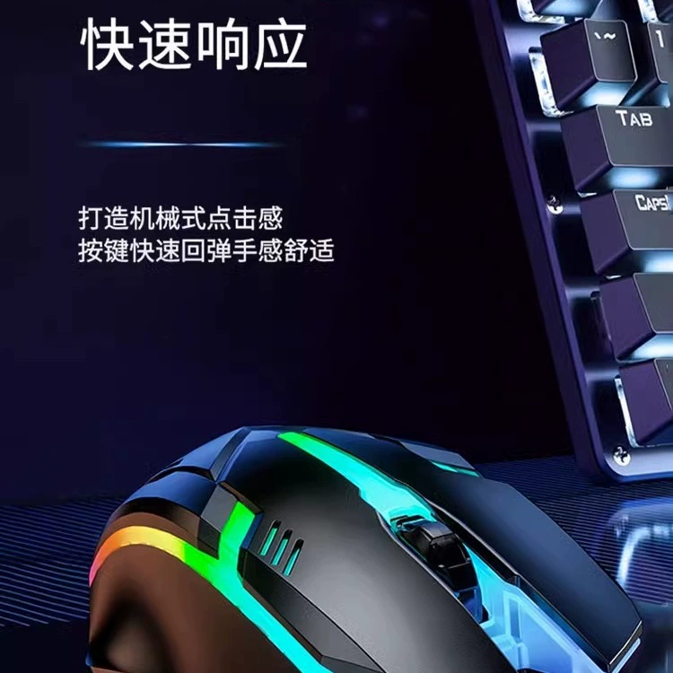 "Compatible mechanical mouse, laptop"