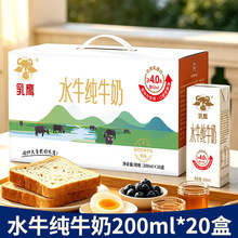 乳鹰水牛纯牛奶 200mlX10/12盒礼盒 整箱儿童孕妇学生成人早餐奶