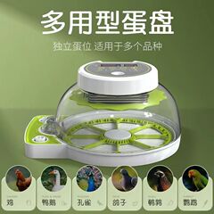 越境メーカー製 小型家庭用 オウム・ハト・ひよこ用孵卵器 孵卵箱 孵卵機 恒温