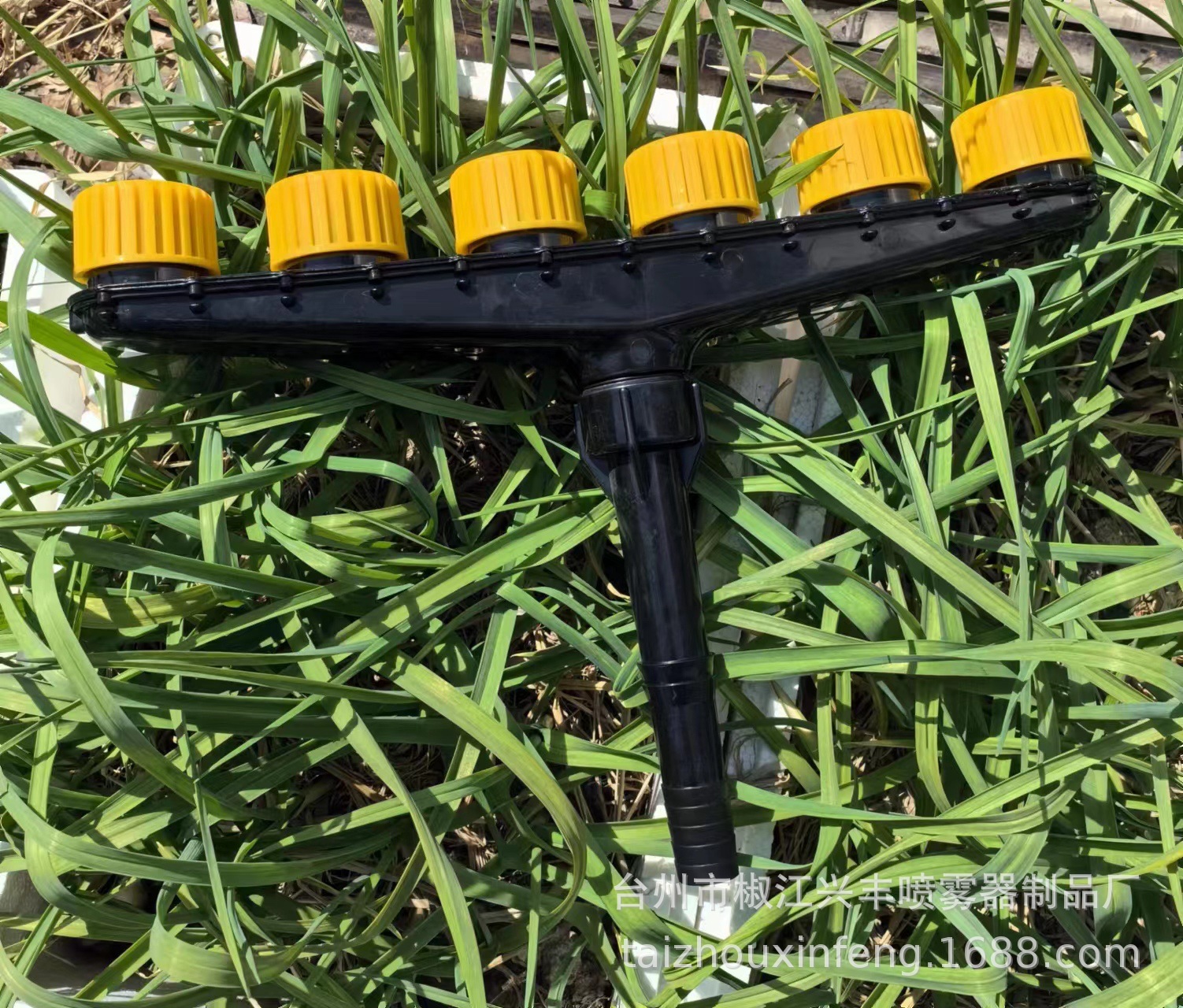 微信圖片_20231029130109