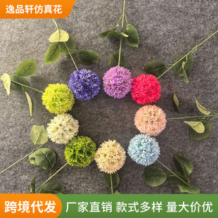�¿��c��ɫϵ�����֧���Ļ�Y�õ���bٻ�ӆ�鱳��·������