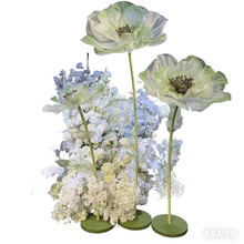 ��Ⱦ�z�������� ��Ⱦ�z�� ���滨  ���� ��ˇ�� blurred flower