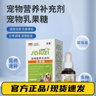 Should pet lactulose nutritional supplement cats and dogs to promote gastrointestinal laxative cats constipation dogs stool dry