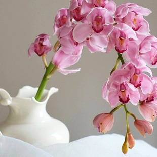 ��ɫ��ޥ�m�r�����ֱ�l�m���󻨻��m�r�л��廨ˮ���������滨