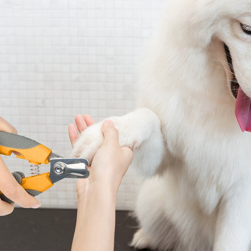 Transfronterizos venta caliente pinzas de uñas para mascotas gatos cortadores de uñas para perros cortadores de uñas afilados mango de silicona al por mayor